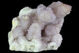 Cactus Quartz (Amethyst) Cluster - South Africa #80012-1